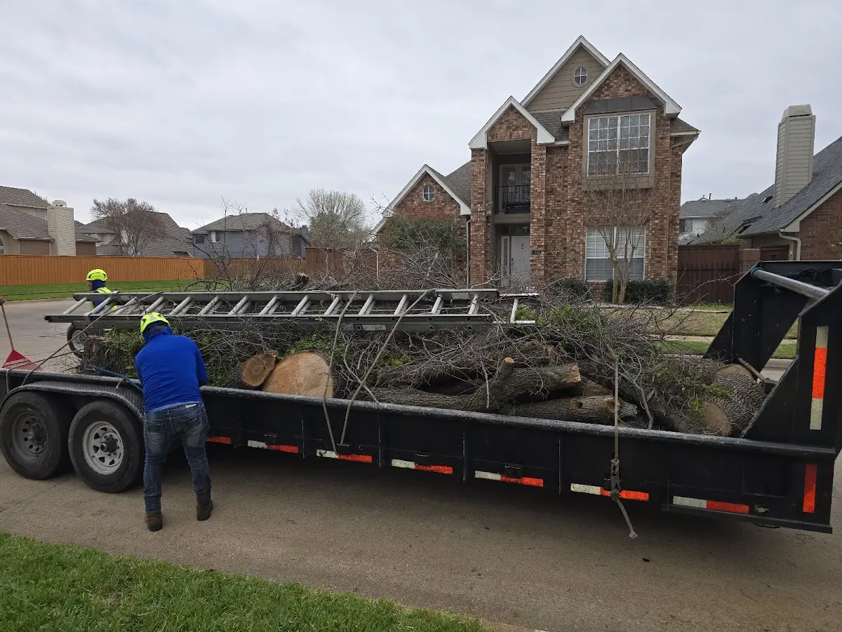 Expert Tree Removal with proper safety equipment in Wind Ridge